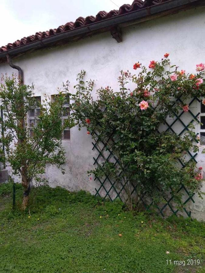 Beb Infamiglia Bed & Breakfast Cascinette Bagian luar foto