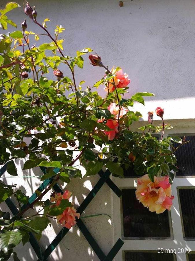 Beb Infamiglia Bed & Breakfast Cascinette Bagian luar foto
